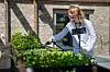 Maria Helland og de andre på dagsenteret hjelper til i grønnsakshagen. Belønningen er at de én gang i uka får servert lunsj med ingredienser fra grønnsakshagen i sommerhalvåret.