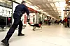 OPPRUSTNING: En ny type narkohund kan slippes løs på reisende og gods dersom tollvesenet lykkes med sitt nye treningsprogram mot syntetiske psykotrope stoffer.