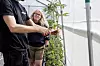 På gården dyrkes også tomater og urter, forteller Ingrid Sand Ekeberg. Christian (35) steller tomatplantene.