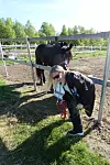 May Helen Schanche har hest, men ingen reinsdyr.
