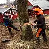 Svein Gjertvik (t.v.) og Espen André Gusdal fylle ropp lageret og kjører ut ved til kundene.