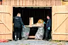 Flaskene sorteres på en hjemmesnekra benk. Harald og kollegaen bruker ikke lang tid på å fylle sekkene med flasker.