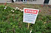 Streikeplakat i blomsterbedet utenfor Ullevål sykehus.